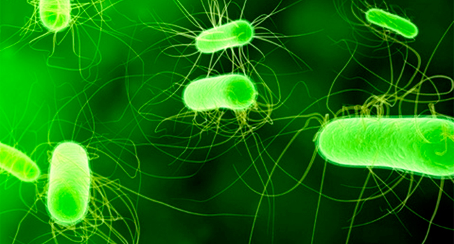 Millones de personas podrían morir por infecciones de bacterias resistentes a los antibióticos