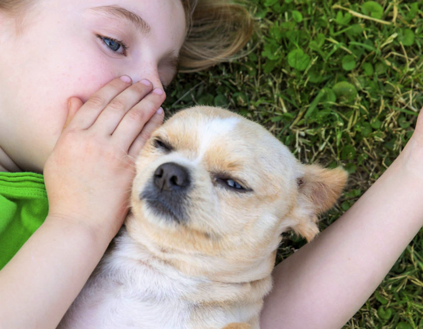 Responsabilidad y cuidados, factores a tomarse en cuenta al regalar una mascota