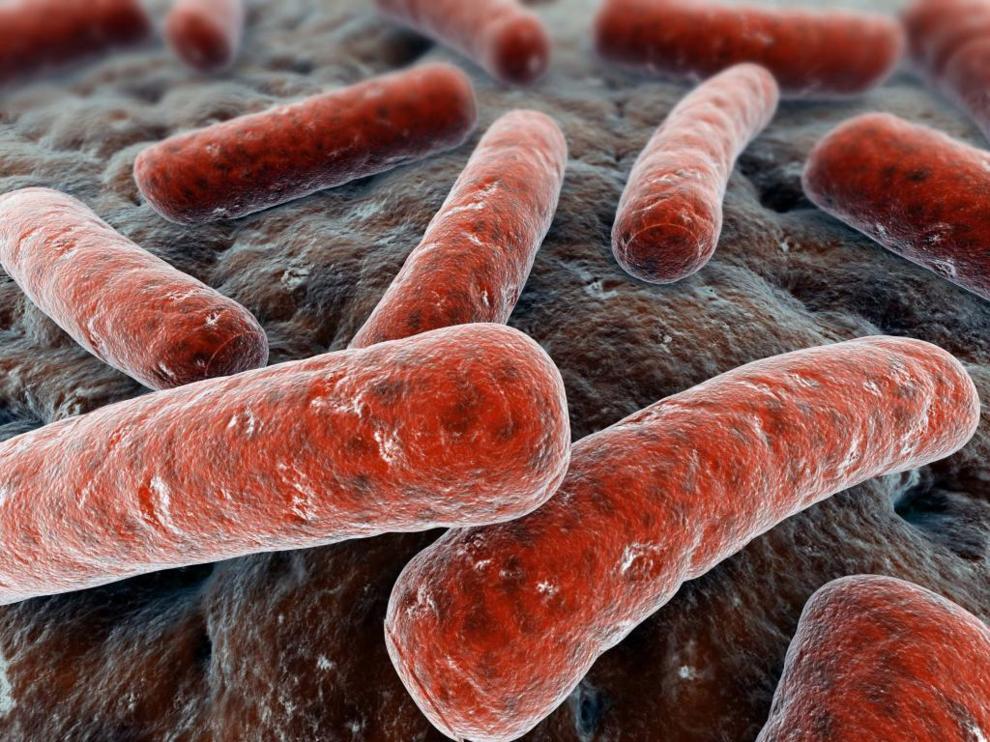 a tuberculosis es una enfermedad letal: Expertos