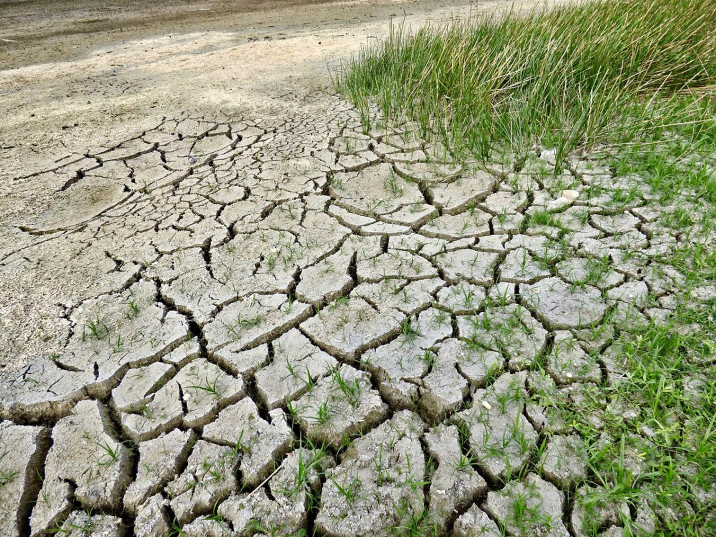 La desertificación mundial será alarmante en 2070: Investigadores de la UNAM