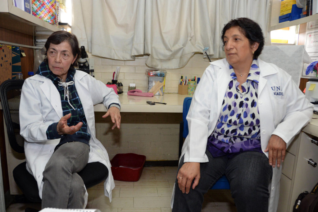 Teresa Fortoul van der Goes y Patricia Bizarro Nevares, investigadoras de la Facultad de Medicina de la UNAM.