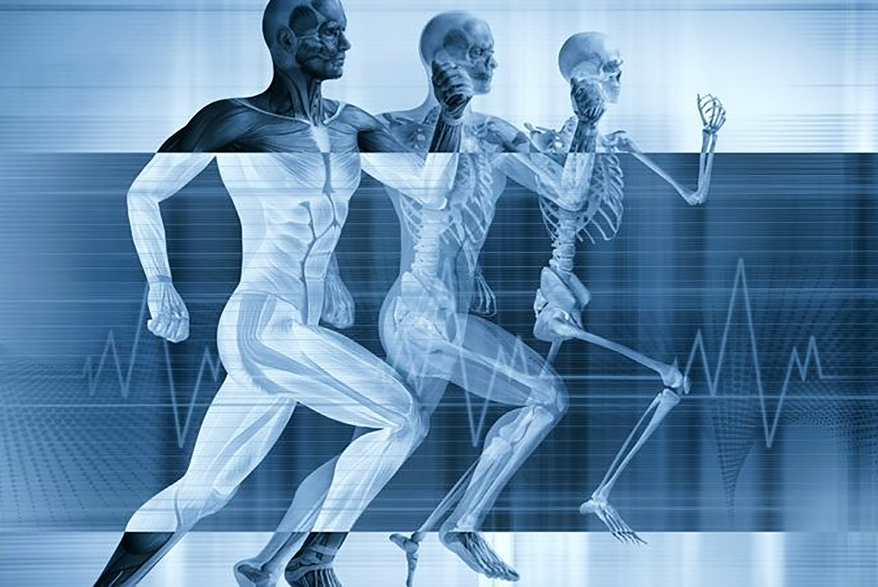 Первая человеческая технология. Спорт и медицина. Фон для презентации по физиологии. Фон для презентации медицина. Баннер медицина.