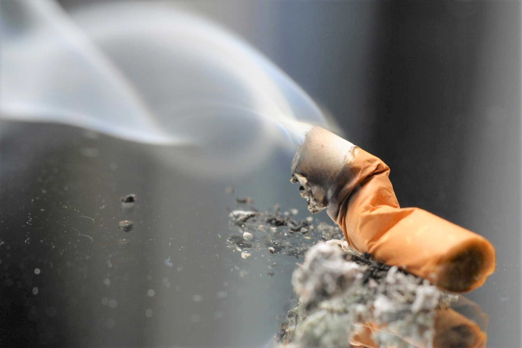 Fumar debilita al sistema inmunológico y daña severamente a los pulmones; aseguran especialistas.