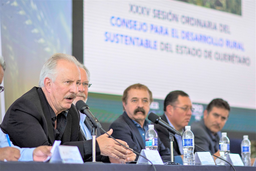 Se avanza hacia un sector rural ganador y competitivo: Enrique Vega Carriles