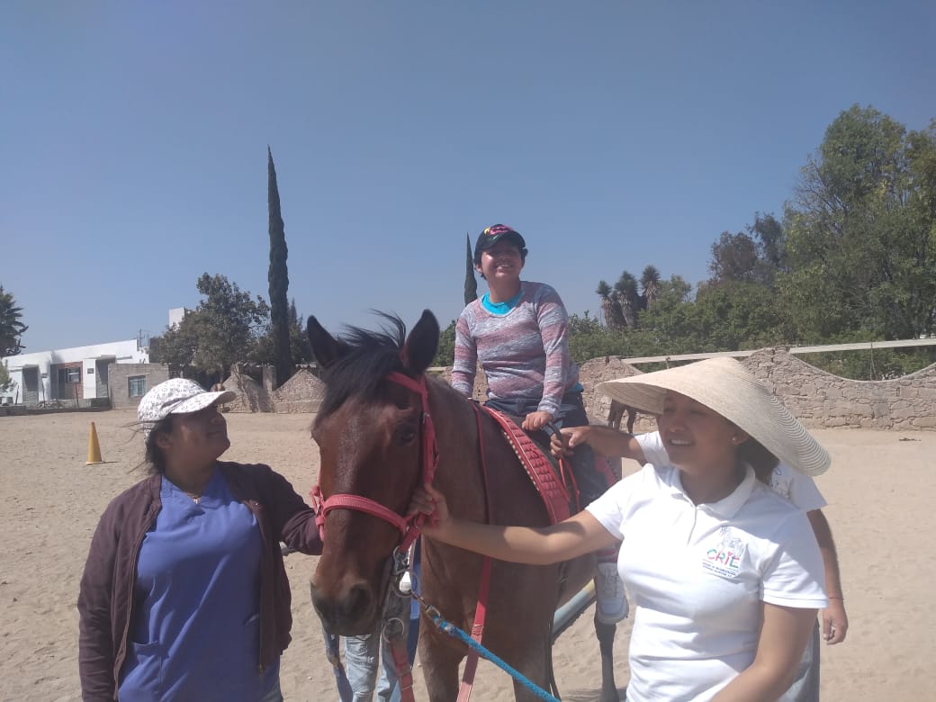 Personas con discapacidad en Corregidora acceden a terapias de activación física, masoterapia y equinoterapia.