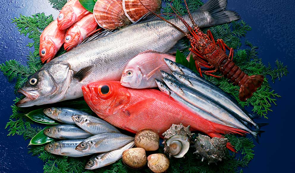 Publican los precios máximos de pescados. Publican los precios máximos de pescados. Foto: Internet.