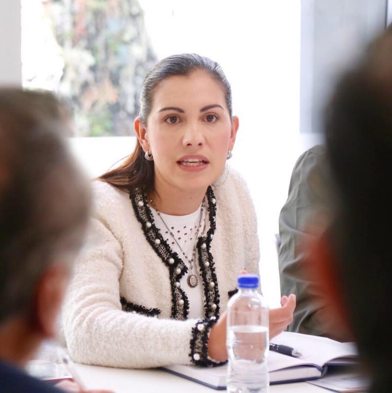 La Diputada Elsa Méndez rechaza ley de aborto aprobada por diputados de Morena en Oaxaca
