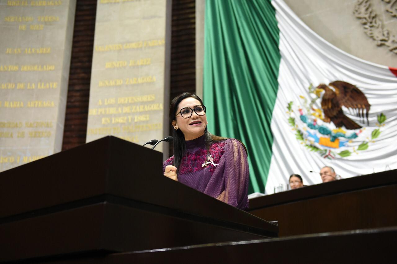 La Diputada Sonia Rocha advierte que Morena quiere votar el presupuesto 2020 en "fast track"
