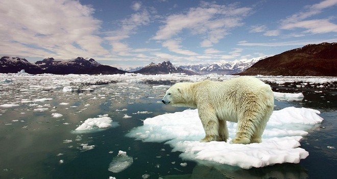 El Cambio Climático, la mayor amenaza para la salud de niños y adultos mayores: Expertos de la UNAM. Foto: Internet.