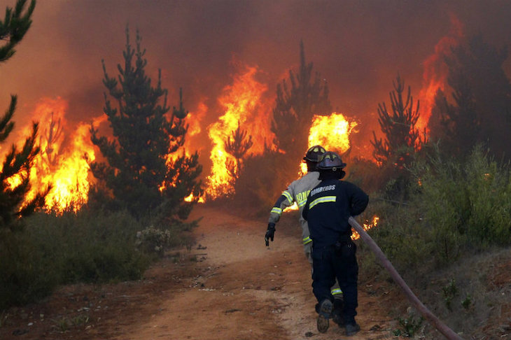 Incendios forestales, consecuencia de un mal manejo del fuego: Expertos. Foto: Internet.