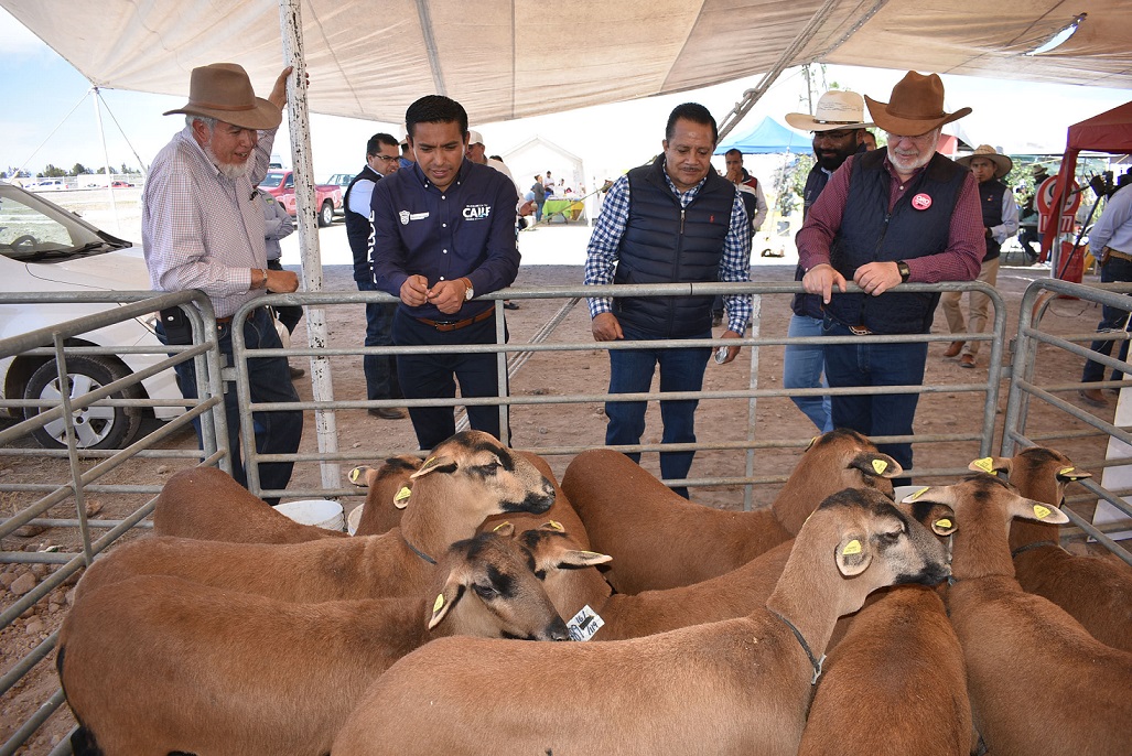 Tercer Tianguis Agropecuario en Pedro Escobedo, congrega a 500 productores.