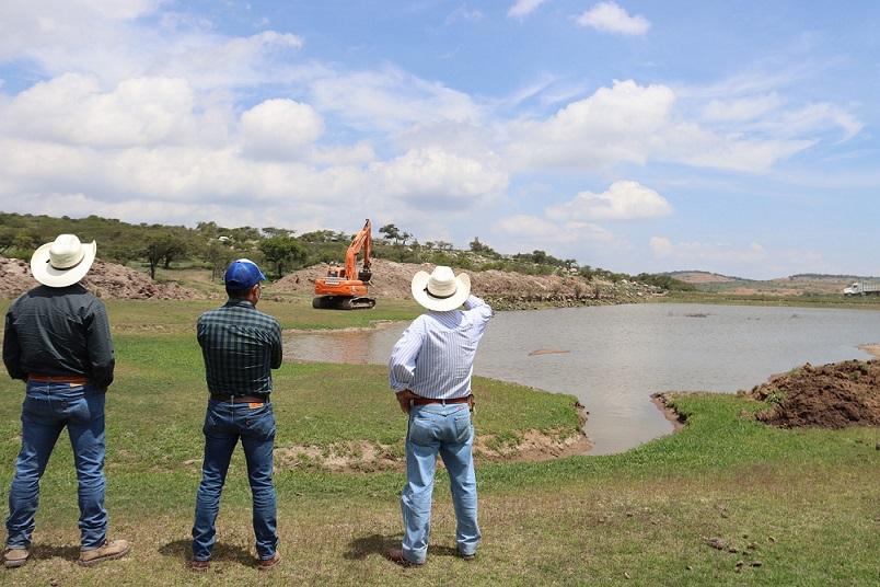 Desazolvan bordo en "El Charco" en beneficio de ganaderos de Peñamiller.