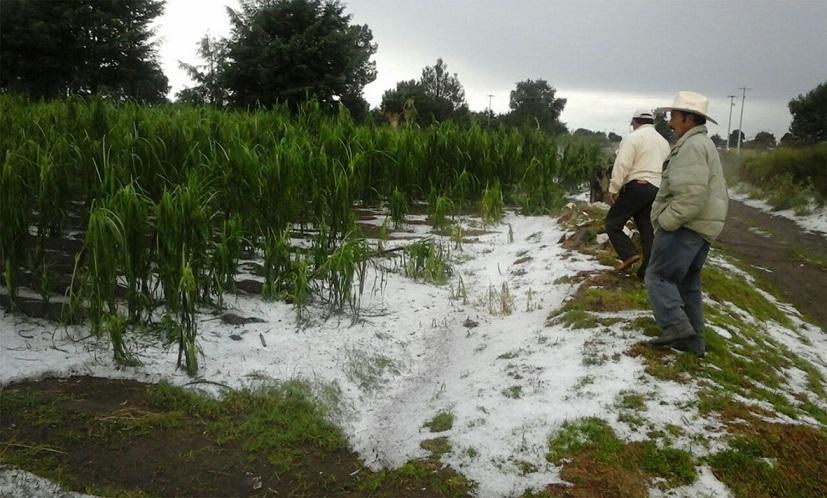 Sin evidencia científica el uso de cañones antigranizo: Expertos.