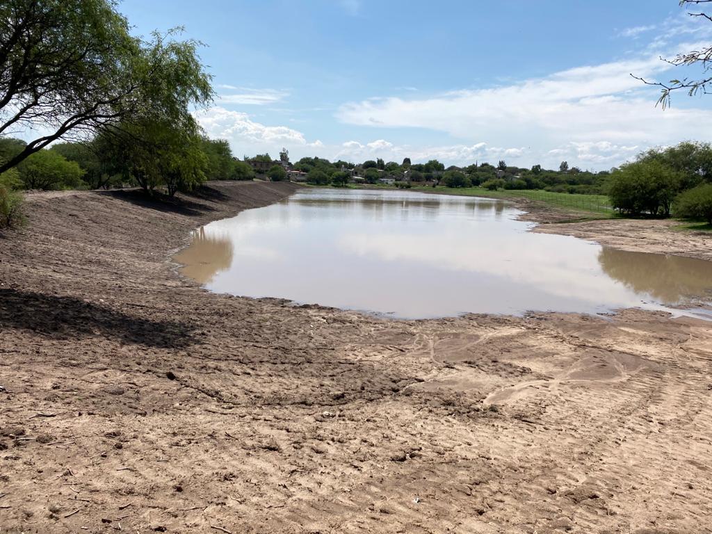 Apoyos y lluvias salvan sector agropecuario de Querétaro.
