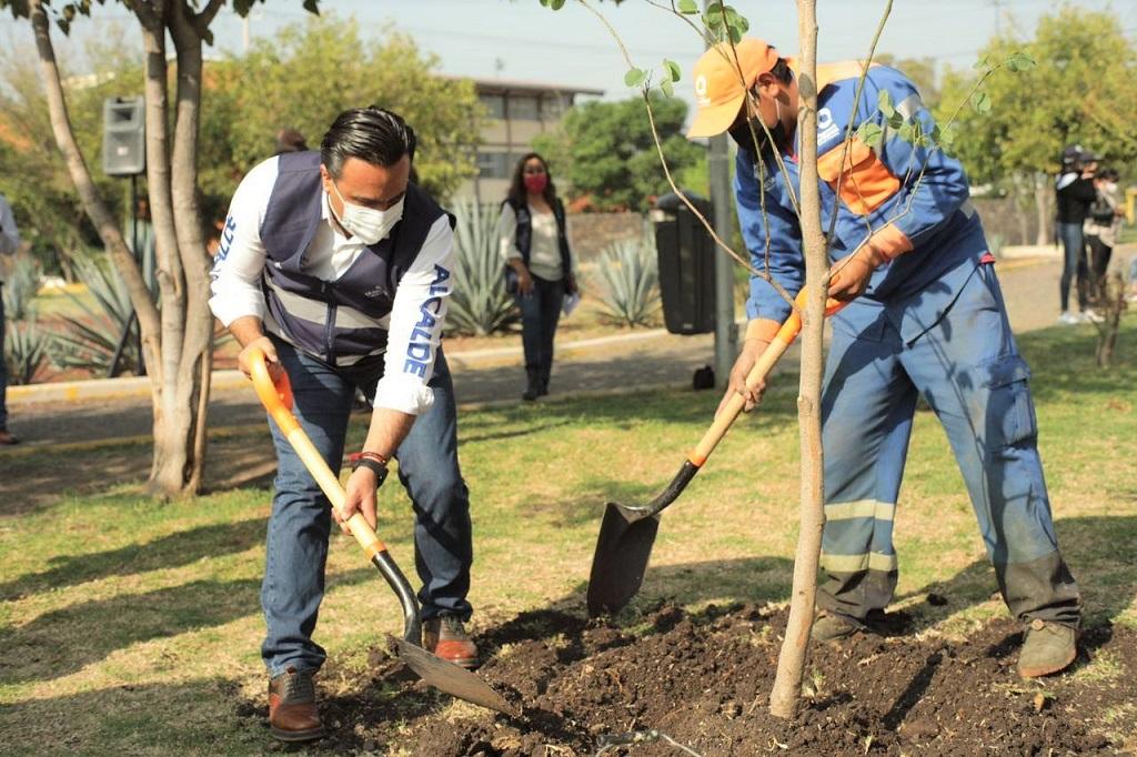 Encabeza Luis Nava jornada de reforestación del programa Respira Querétaro