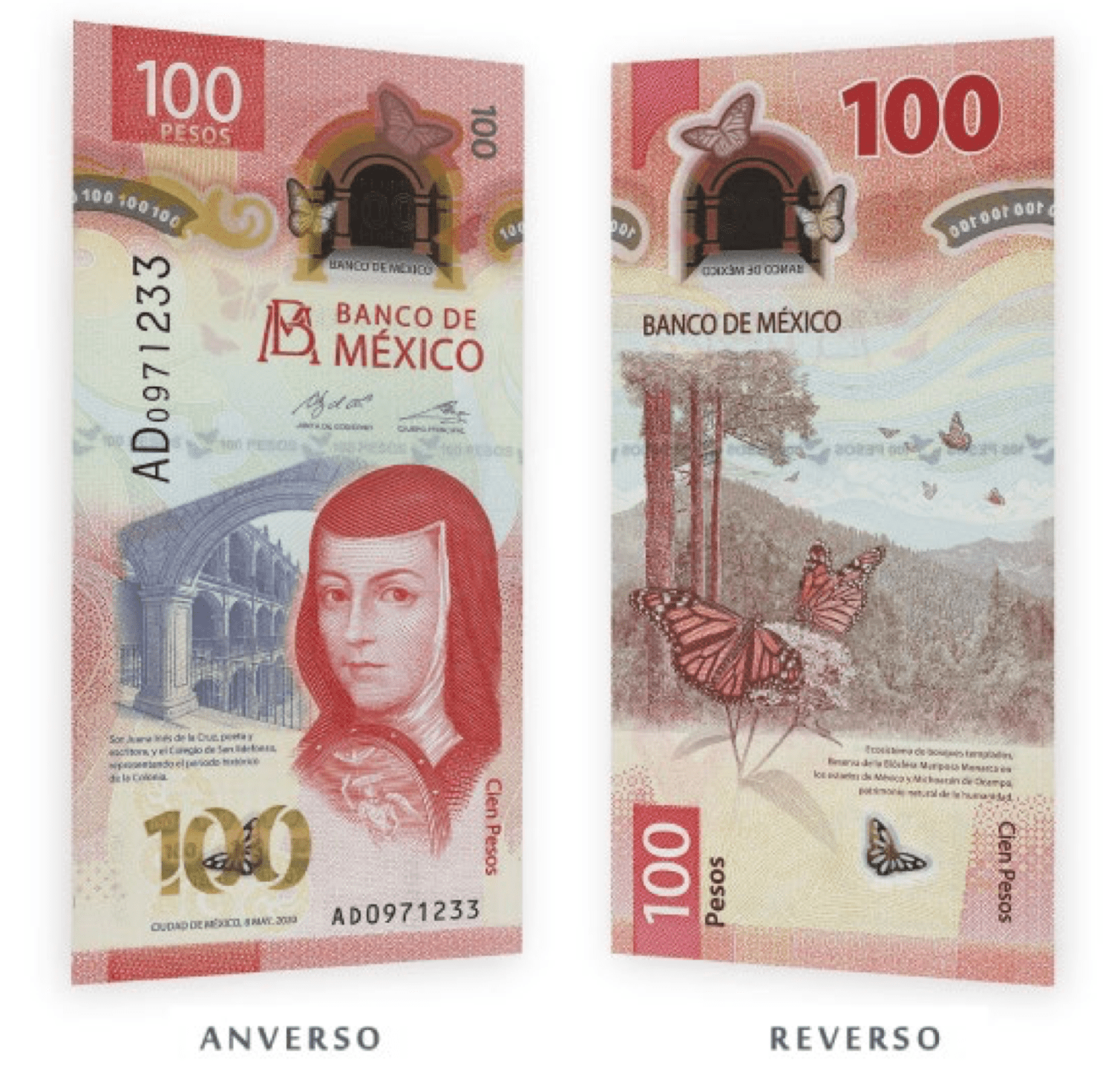 BANXICO pone en circulación el nuevo billete vertical de 100 pesos.
