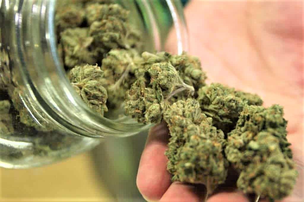 El Senado aprueba legalización del uso de la marihuana.