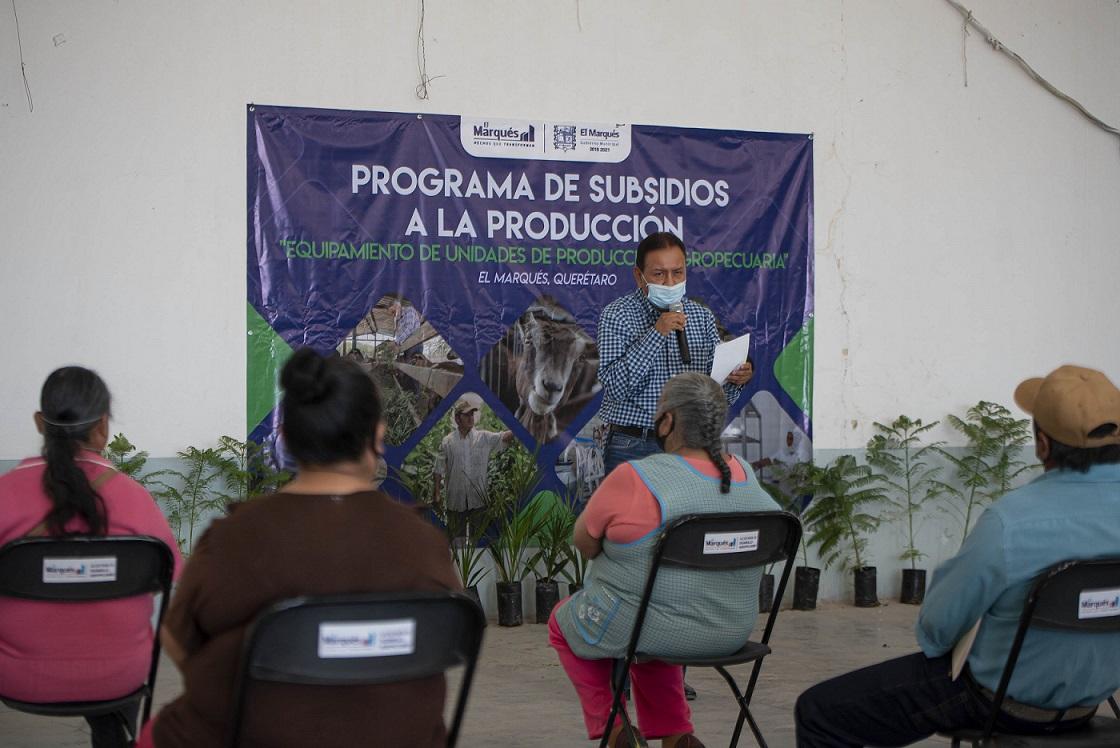 Entregan apoyos al Sector Agropecuario de El Marqués.