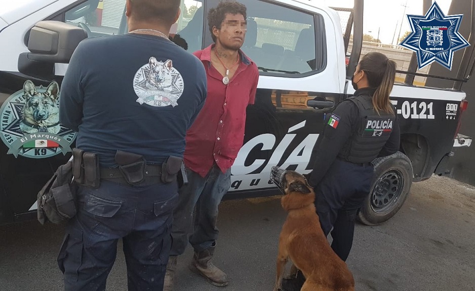 Cae Juan Alejandro N por robo de vehículo en El Marqués.