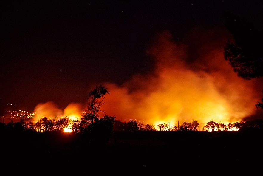 Científicos alertan por los numerosos incendios forestales que se pueden presentar en México.