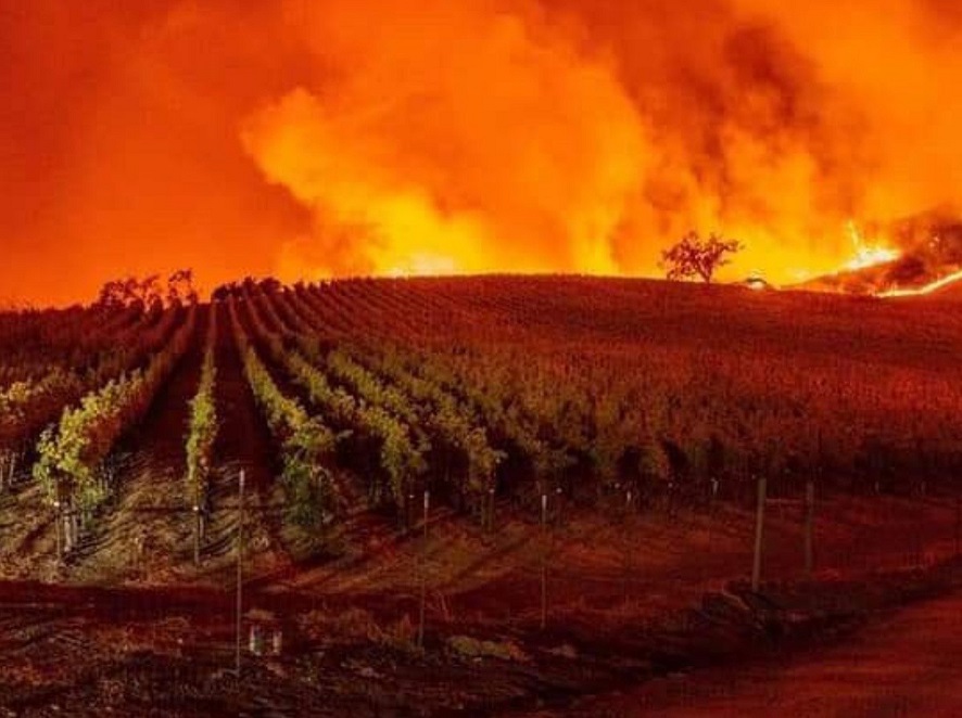 Científicos prevén una temporada alta de incendios forestales en los próximos años en México.