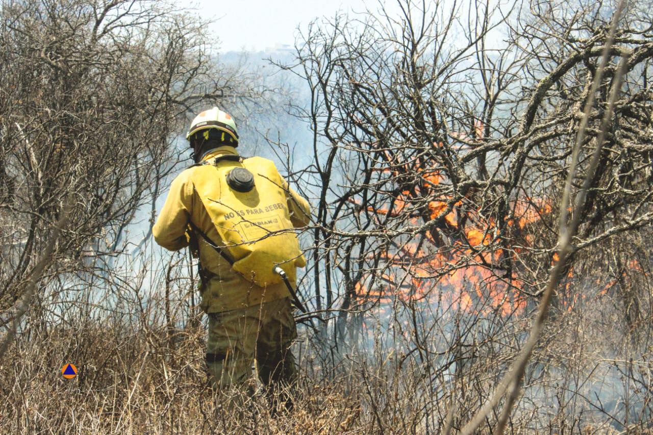 Incendio en Zibatá afecta 40 hectáreas en El Marqués.