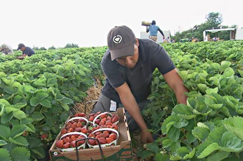 Migrantes queretanos envían 194 mdd en el primer trimestre de 2021.