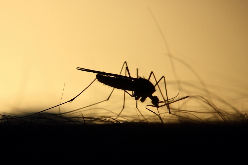 Avanzar en el conocimiento científico para enfrentar la próxima pandemia; recomiendan científicos mexicanos