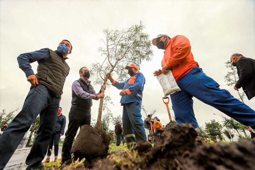 Siembran 171 mil árboles en Querétaro Capital