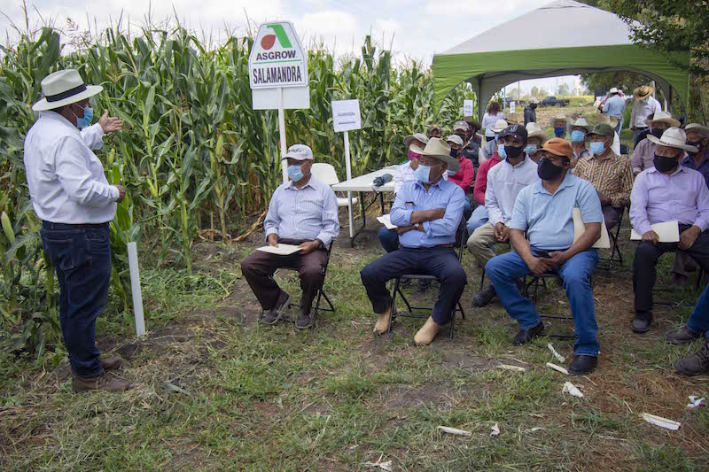 Logra El Marqués incrementar hasta en 15 por ciento la producción agropecuaria.