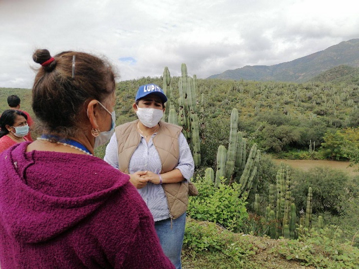 La Alcaldesa Lupita Alcántara, recorre zonas afectadas por las lluvias en Tolimán