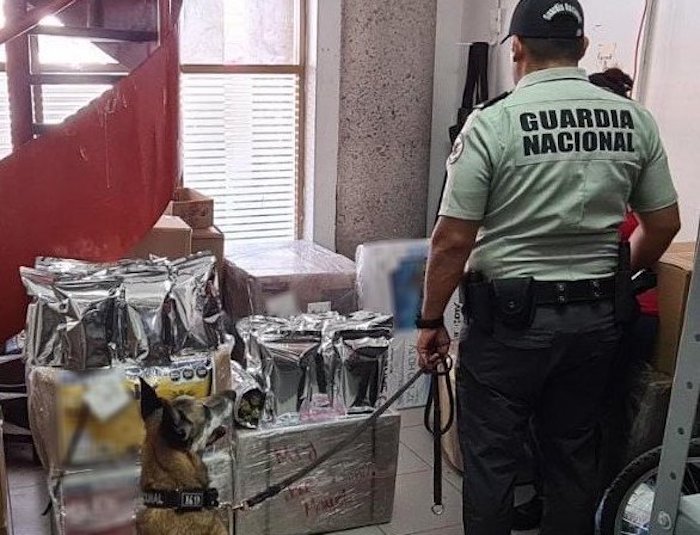 GN asegura presunta marihuana en la Central de Autobuses de Querétaro