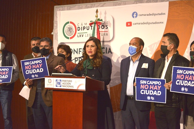 Sonia Rocha encabeza bloque para defender presupuesto para el campo de Querétaro