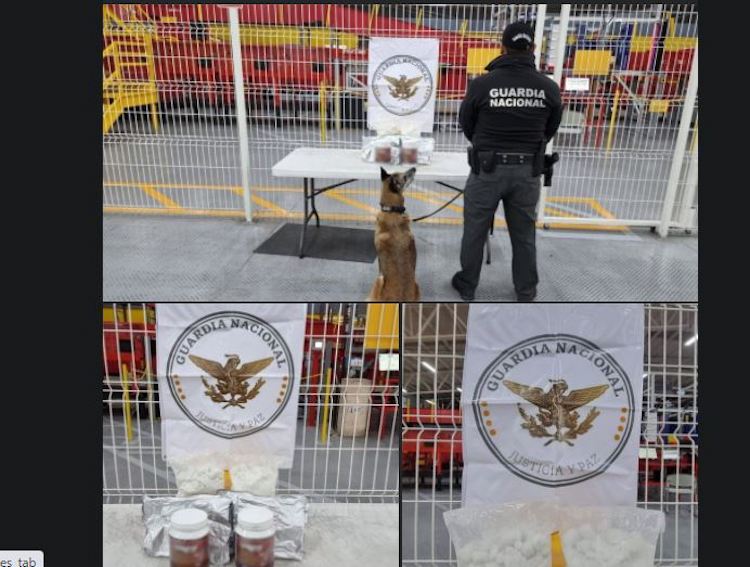 Binomios caninos detectan aparente droga en el Aeropuerto de Querétaro.