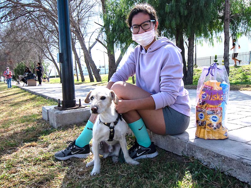 El Marqués inicia el programa EDUCAAM para reducir el abandono y maltrato animal