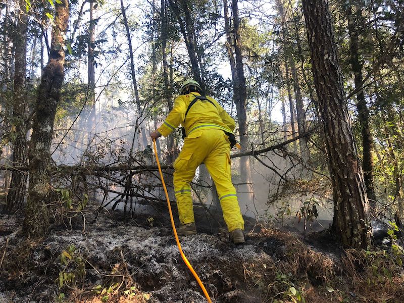 Incendio forestal en Landa de Matamoros afecta 45 hectáreas