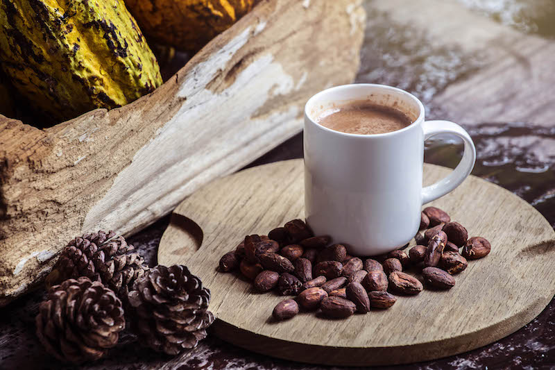 El chocolate mejora flujo sanguíneo y la presión arterial, destacan Especialistas de la UNAM.