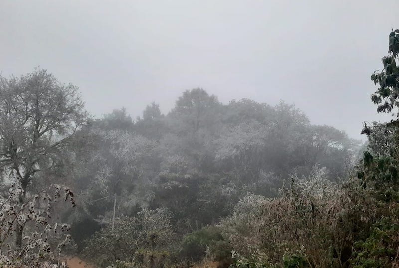 En Pinal de Amoles se pronostican temperaturas de hasta -4 grados.