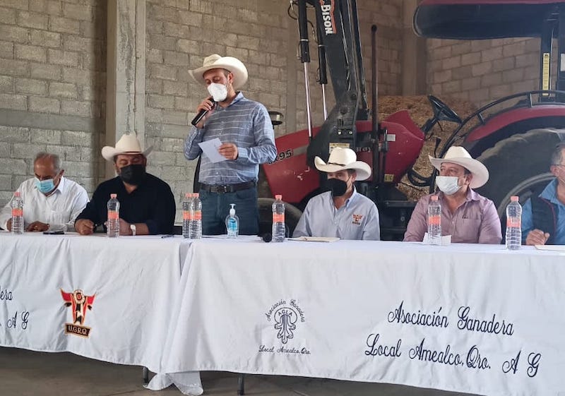 Tala clandestina en Amealco afecta a productores agrícolas y ganaderos denuncian ganaderos