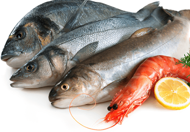 8 recomendaciones para el consumo seguro de pescados y mariscos en cuaresma 2022.