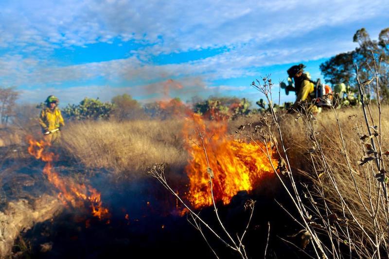 Bomberos y Protección Civil de SanJuanDelRío llaman a evitar incendios.