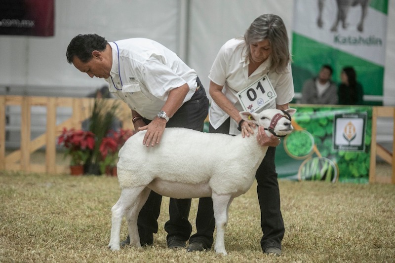 Confirman realización de la Feria Ganadera de Querétaro 2022.