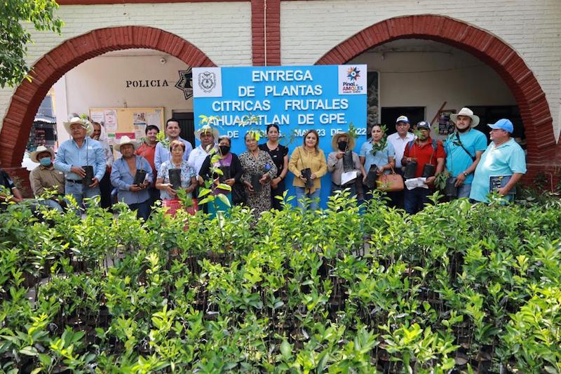 Lupita Ramírez Plaza entrega 2,700 árboles cítricos y frutales en Pinal de Amoles.