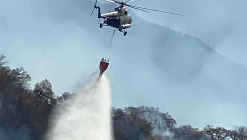 Se encuentran activos 89 incendios forestales en 19 entidades de México