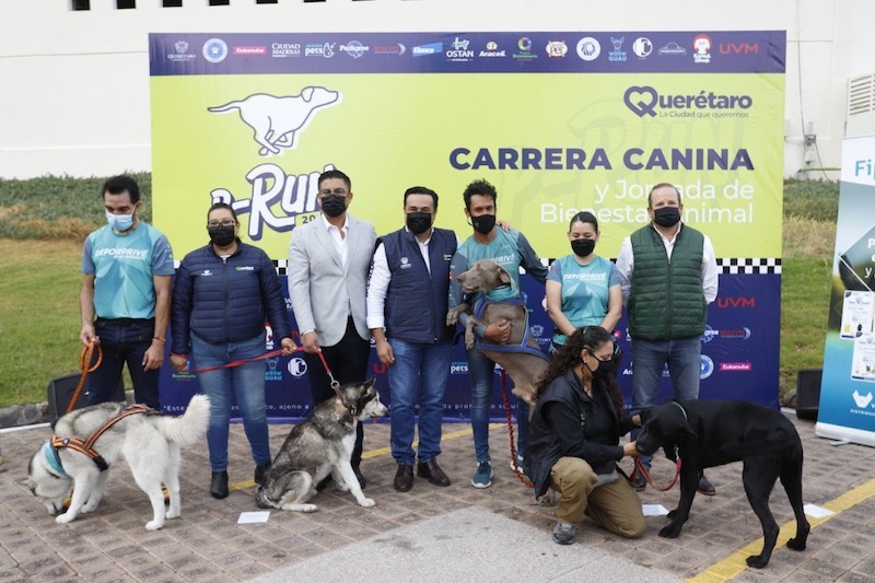 Anuncia Luis Nava carrera canina P-Run 2022; participarán 600 corredores y 300 mascotas.