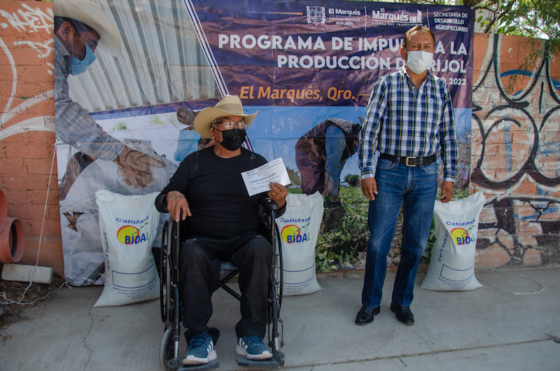 El Marqués entrega 20 toneladas de semilla de frijol a 180 productores del campo, quienes siembran mediante riego o temporal 360 hectáreas.
