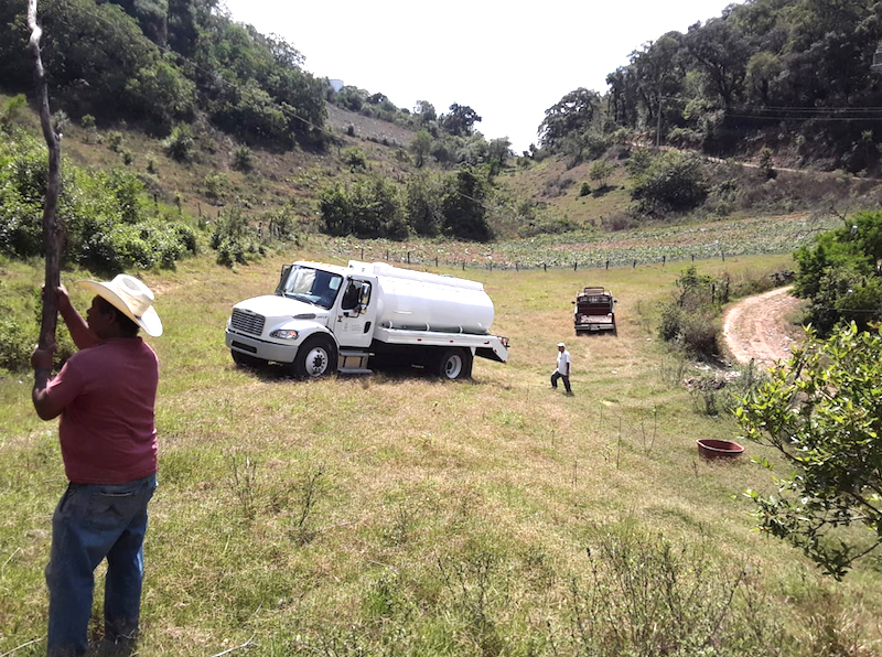Por sequía, ayudan con pipas de agua a ganaderos de la Sierra Gorda de Querétaro.