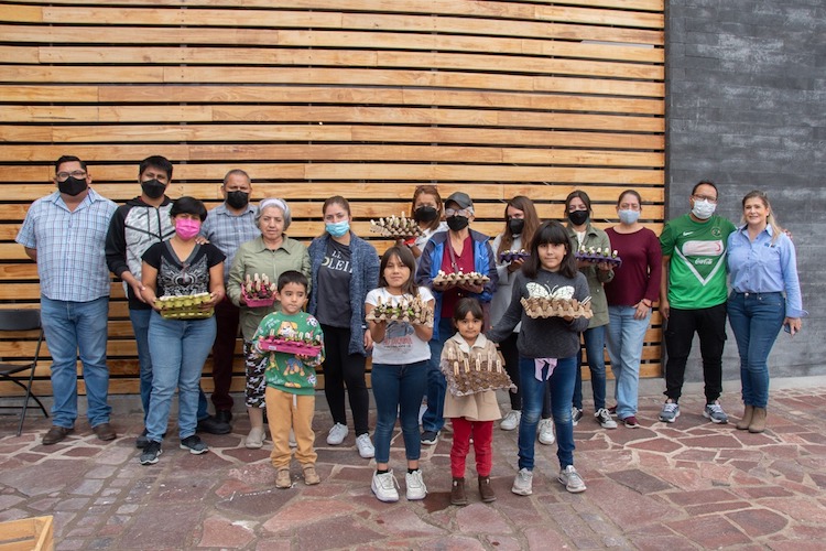 El Marqués imparte 60 talleres de huertos ecológicos a 300 familias