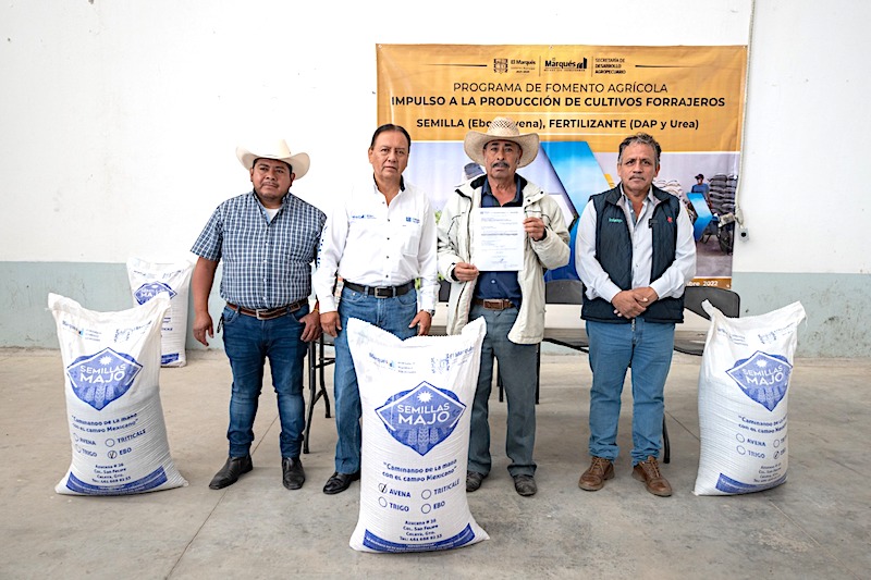 Entrega semilla de avena a 79 productores de El Marqués