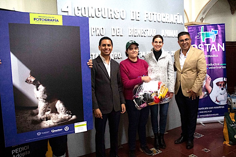 En la Capital de Querétaro premian a participantes del 4to concurso de fotografía pro bienestar animal.